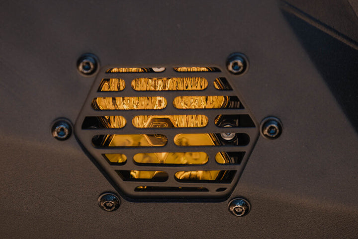 Photo - Close Up